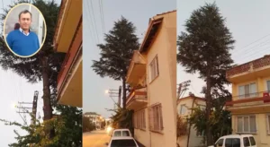 Vatandaşı korkutan ağaç!